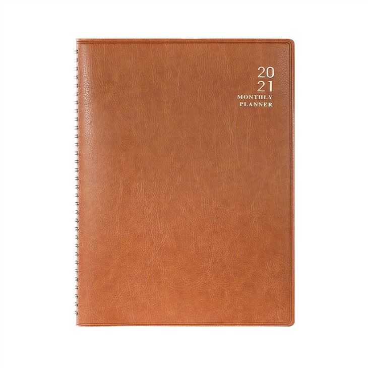 2021 Monthly Budget Planner